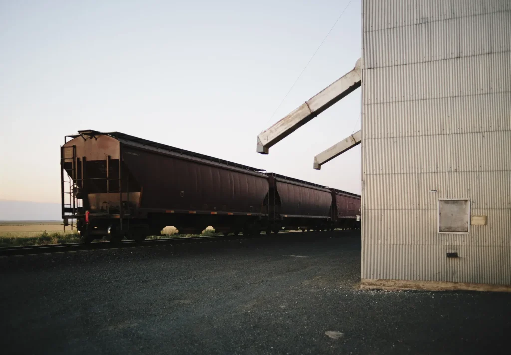 Covered hopper railcars parked beside a grain elevator silo in a rural rail yard at dusk
